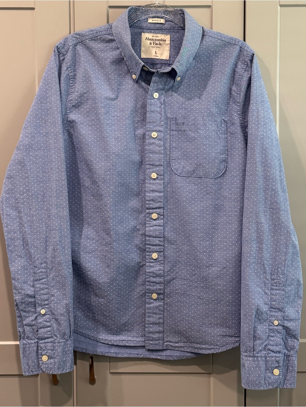 Abercrombie & Fitch Light Blue white dot Button-Down Shirt